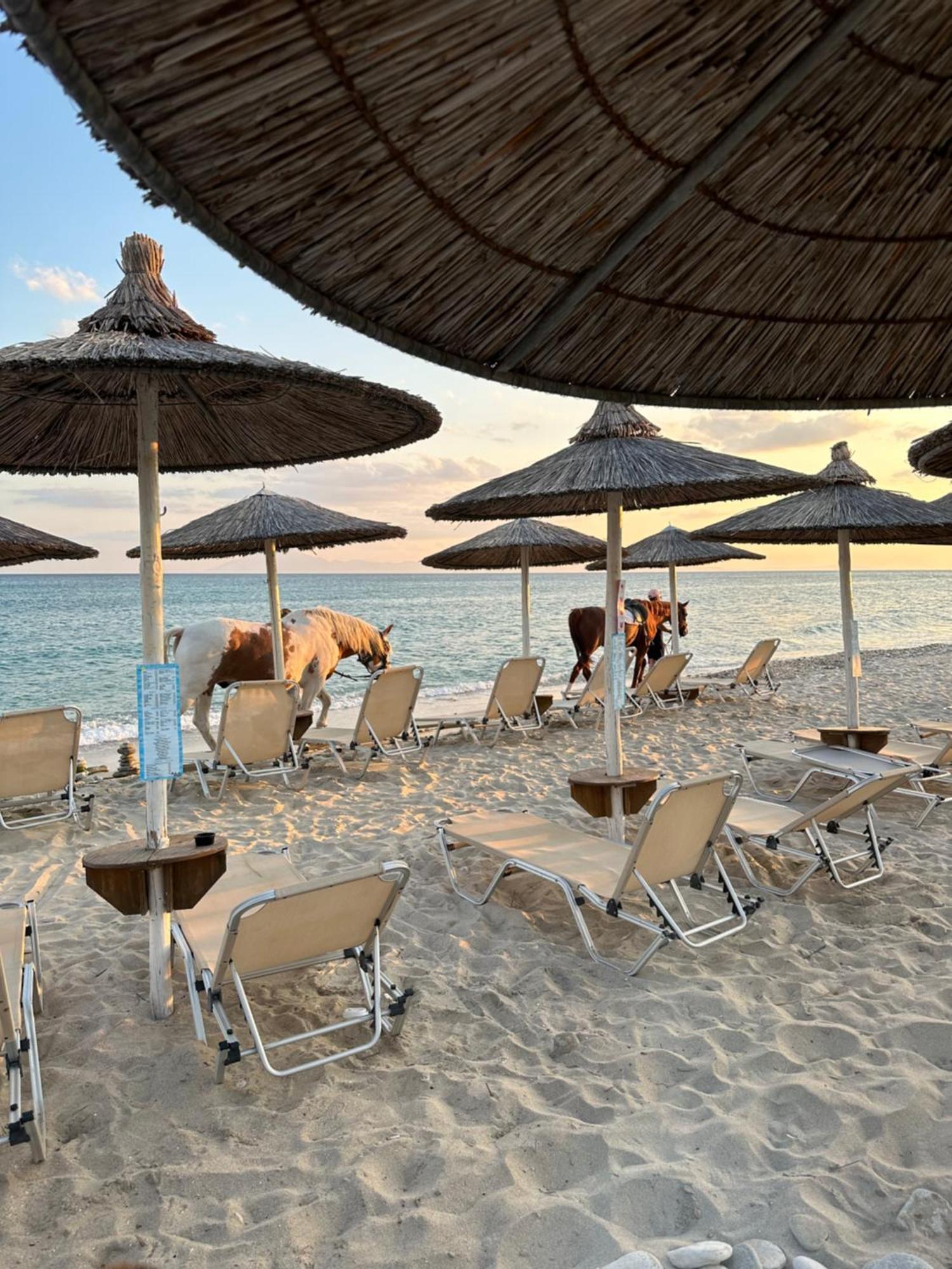 Διαμέρισμα Gorgona Di Thassos *