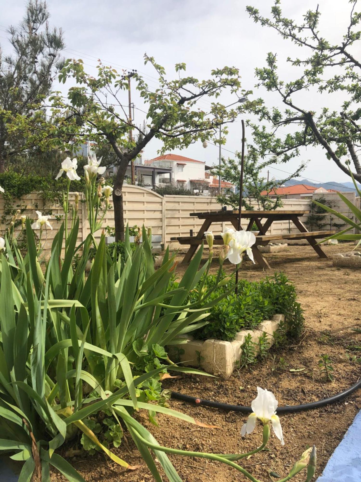 Gorgona Di Thassos Διαμέρισμα *